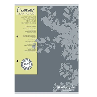 Afbeelding van Cursusblok Clairfontaine Forever Calligraphe A4 2 gaats ruit 5x5mm 100 vel 70gr grijs