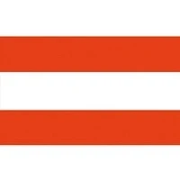 Afbeelding van vlag Oostenrijk 20X30 CM