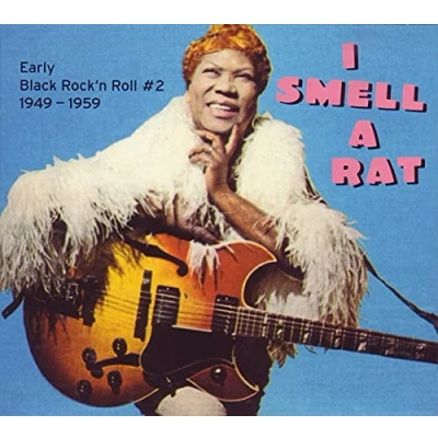 Afbeelding van Various Artists I Smell A Rat (CD)