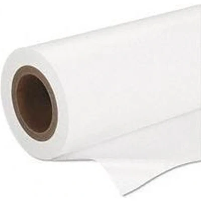Afbeelding van Epson Premium Semigloss Photo Paper, 16,5&#039;&#039; x 30,5 m, 160g/m²