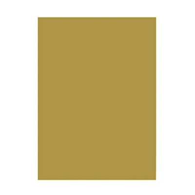 Afbeelding van TEKENPAPIER A3 50V GOUD