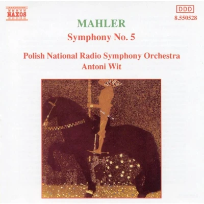 Afbeelding van Polish Nrso Symphony 5 (CD)