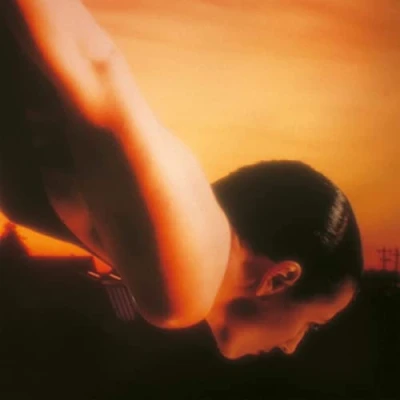 Afbeelding van Porcupine Tree On the Sunday of Life (2 LPs)