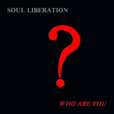Afbeelding van Soul Liberation Who Are You? (2 LPs)