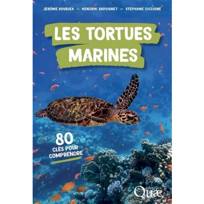 Image de Les tortues marines