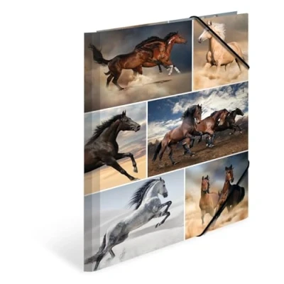 Image de HERMA Chemises à élastique Animaux avec motif Chevaux, A4, carton robuste, impression intérieure, 1 porteé de chemise