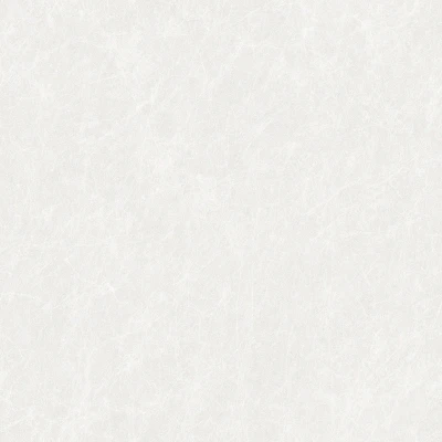 Afbeelding van Dutch Wallcoverings Tapestry Linen Plain White TP422901