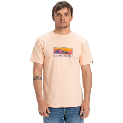 Afbeelding van Quiksilver EV Gradient BOX Tshirt print, Heren, Maat: XL, Mef
