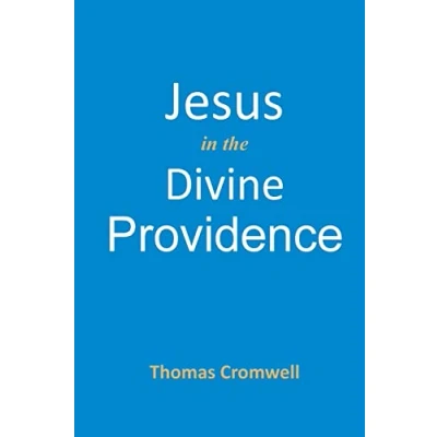 Afbeelding van Jesus in the Divine Providence