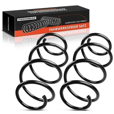Afbeelding van Frankberg Set van 2 ophangveren voor vooras, compatibel met Clio III 2010 2012 Modus/Grand Modus 2021, vervangt # 540101261R