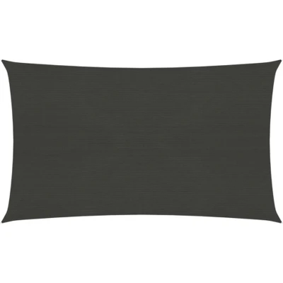 Afbeelding van vidaXL Zonnezeil 160 g/m² 2,5x5 m HDPE antracietkleurig