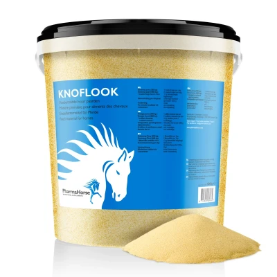 Image de Ail Cheval 5000 gr. Epices