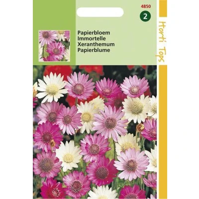 Afbeelding van HT Xeranthemum, Papierbloem gemengd Hortitops