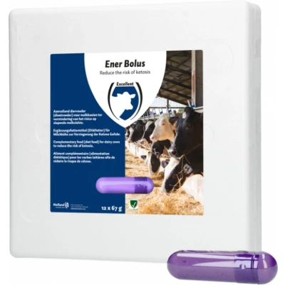 Afbeelding van Ener bolus 12st