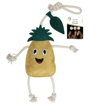 Image de Excellent Horse Foodie Friends Pineapple JauneVendu par Agradi