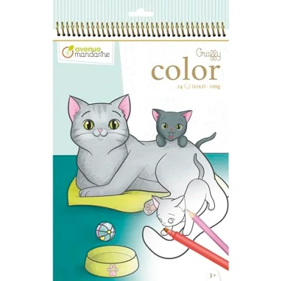 Afbeelding van Avenue Mandarine GY105C, 24 pagina&#039;s, Kleurboek/ album