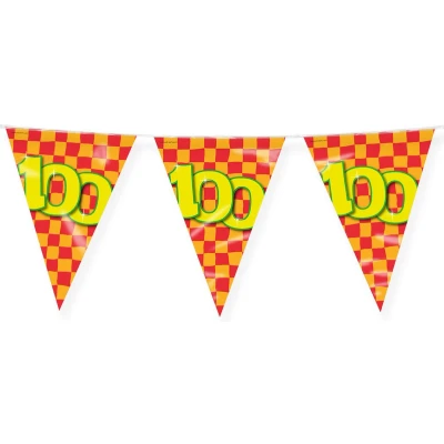 Afbeelding van Vlaggenlijn slinger 100 jaar party 10 meter