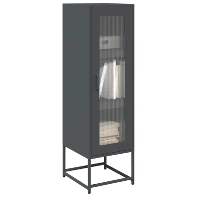 Afbeelding van vidaXL Hoge kast 36x39x123 cm koudgewalst staal antracietkleurig