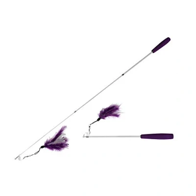 Afbeelding van Ebi Speelgoed Voor Dieren Kat Fishing Rod Telescope, Voeder 35 95cm Paars/wit 1st