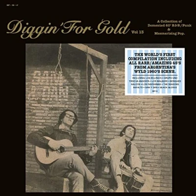 Afbeelding van V/A Diggin&#039; For Gold Vol.13 (LP)