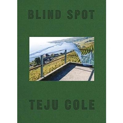 Afbeelding van Blind Spot