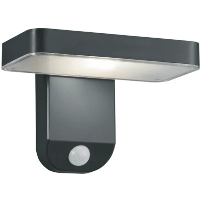 Afbeelding van REALITY ESQUEL Wandlamp Antraciet incl. 1x SMD 4,5W Bewegingssensor Solar Zonne energie Snoerloos Buitenverlichting IP44