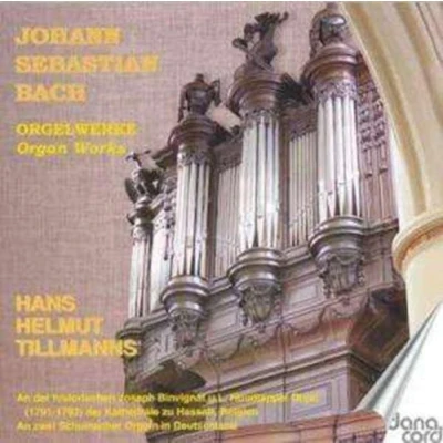 Afbeelding van Js Bach: Organ Music Vol.10