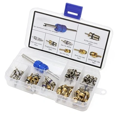 Afbeelding van HSeaMall 40 STKS A/C Valve Core R12 R134a Automotive Airconditioning Koeling Band Staaf Harten Remover Tool Assortiment Kit