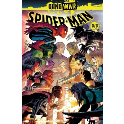 Image de Spider Man : Gang War N03