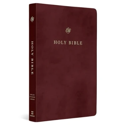 Afbeelding van ESV Gift and Award Bible