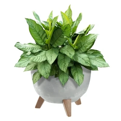 Afbeelding van KADAX Ronde bloempot van kunststof met drie houders, voor balkon, woonkamer, grijs, diameter 29 cm
