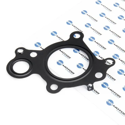 Afbeelding van Afdichting, EGR klep Dr.Motor Automotive DRM0459