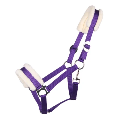 Image de QHP Halter Cali