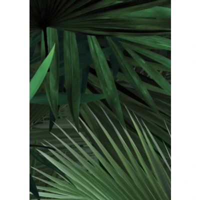 Afbeelding van KEK Amsterdam Tropical Behang 280x47,8 cm Palm