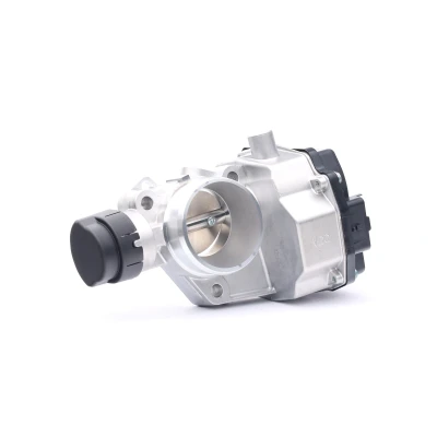 Afbeelding van Vdo Gasklephuis 408 239 821 002Z