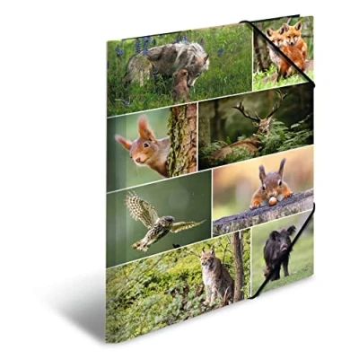 Image de HERMA 19451 Porte documents A3 animaux de la forêt pour enfants en carton avec impression intérieure et bande élastique, robuste garçons filles