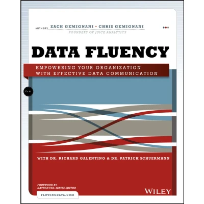 Afbeelding van Data Fluency