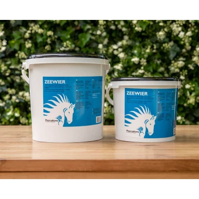 Image de Algues Marines Cheval 3000 gr. Epices
