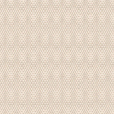Afbeelding van Dutch Wallcoverings Tapestry Loop Plain Beige TP422803