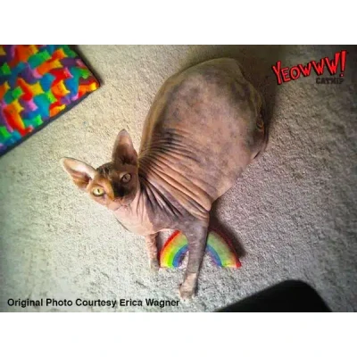 Afbeelding van Yeowww Rainbow