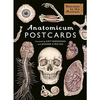 Afbeelding van Anatomicum Postcard Box