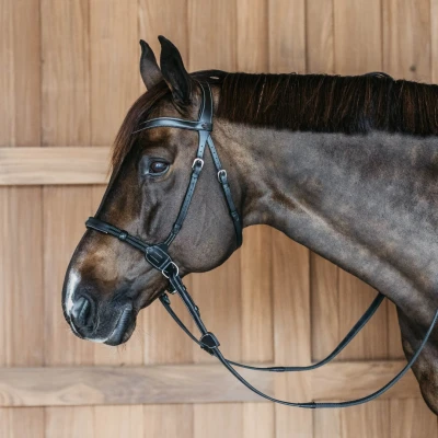 Image de Dyon Bridon sans Mors Noir Cob