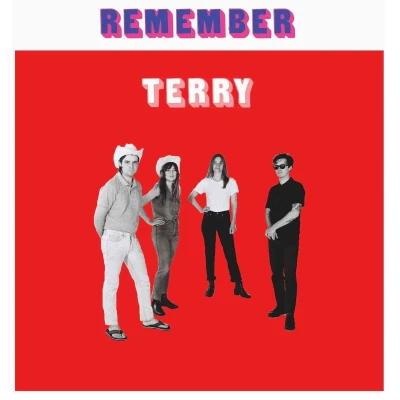 Afbeelding van Terry Remember (LP)