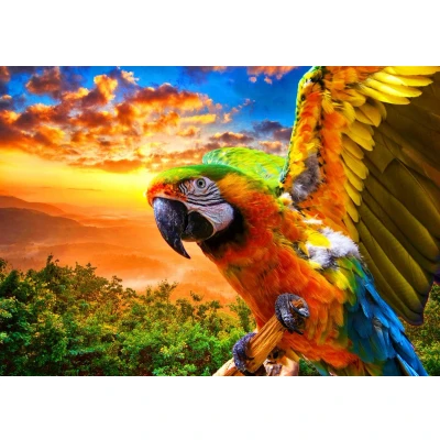Afbeelding van Bluebird Puzzle Parrot 1000 Teile.
