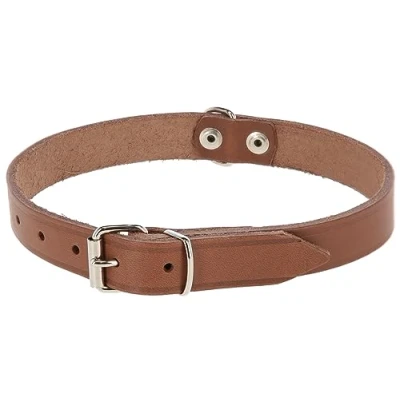 Afbeelding van Goedkope hondenhalsband leer 18mm taupe