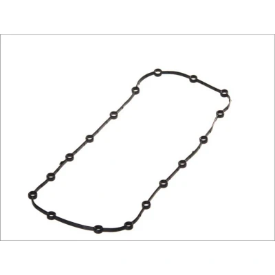 Afbeelding van Elring Carterpakking 198.150