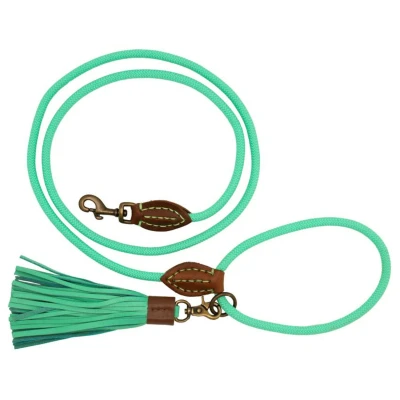 Afbeelding van Dwam Looplijn Jade Touw Turquoise Hondenriem 155x1 cm