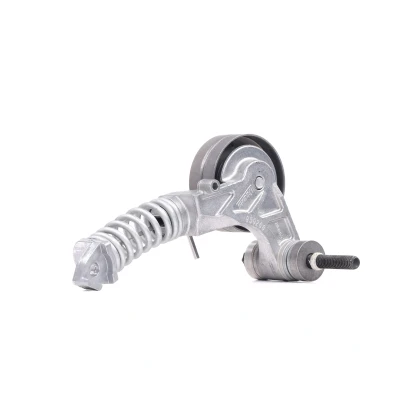 Afbeelding van Gates Spanrol (poly) V riem T38344