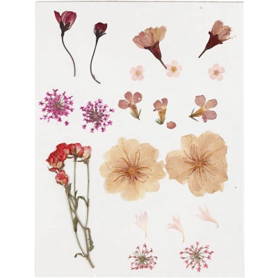 Afbeelding van Gedroogde Bloemen en Bladeren Lichtroze