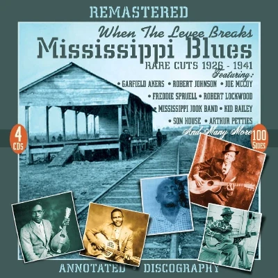 Afbeelding van Various Artists When The Levee Breaks. Mississippi (4 CD)